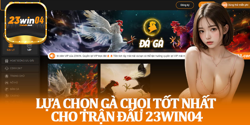Lựa Chọn Gà Chọi Tốt Nhất Cho Trận Đấu 23win04